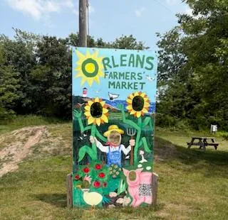 a view of a bench in the terrace