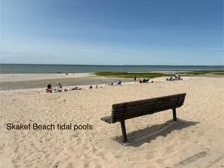 a backyard of a house with lots of plants and tree