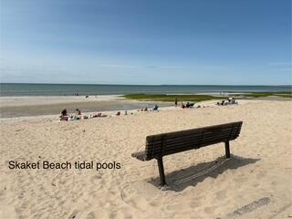 47 Daleys Terrace Orleans, MA 02653 - Photo 29 of 37 a view of a bench in the terrace