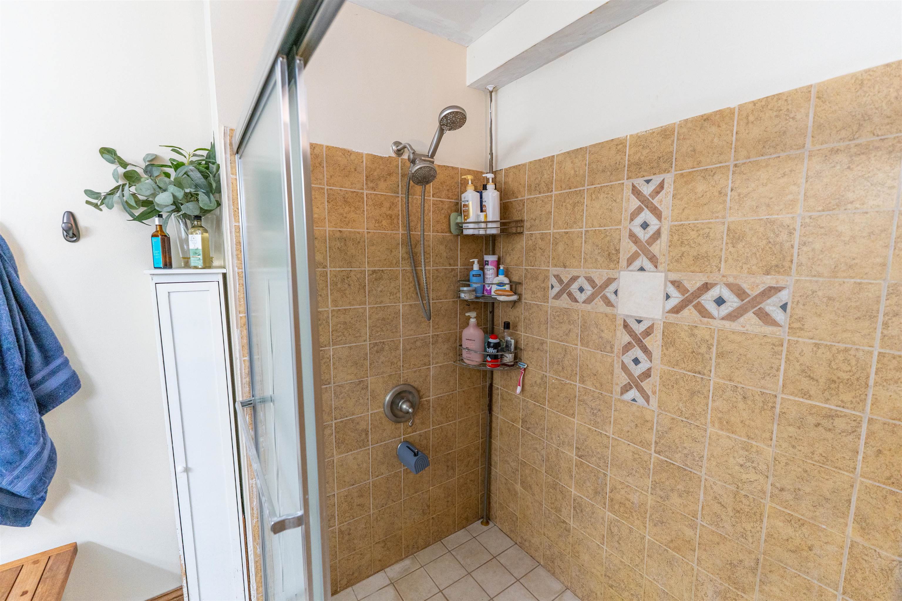 6155 South Perryville Road Cherry Valley, IL 61016 - Photo 34 of 92 a bathroom with a shower