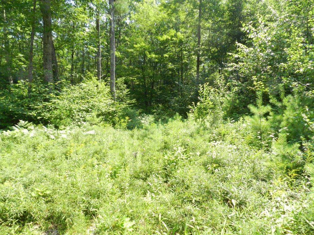 16 Harrison Road Naples, ME 04055 - Photo 20 of 34 Photo