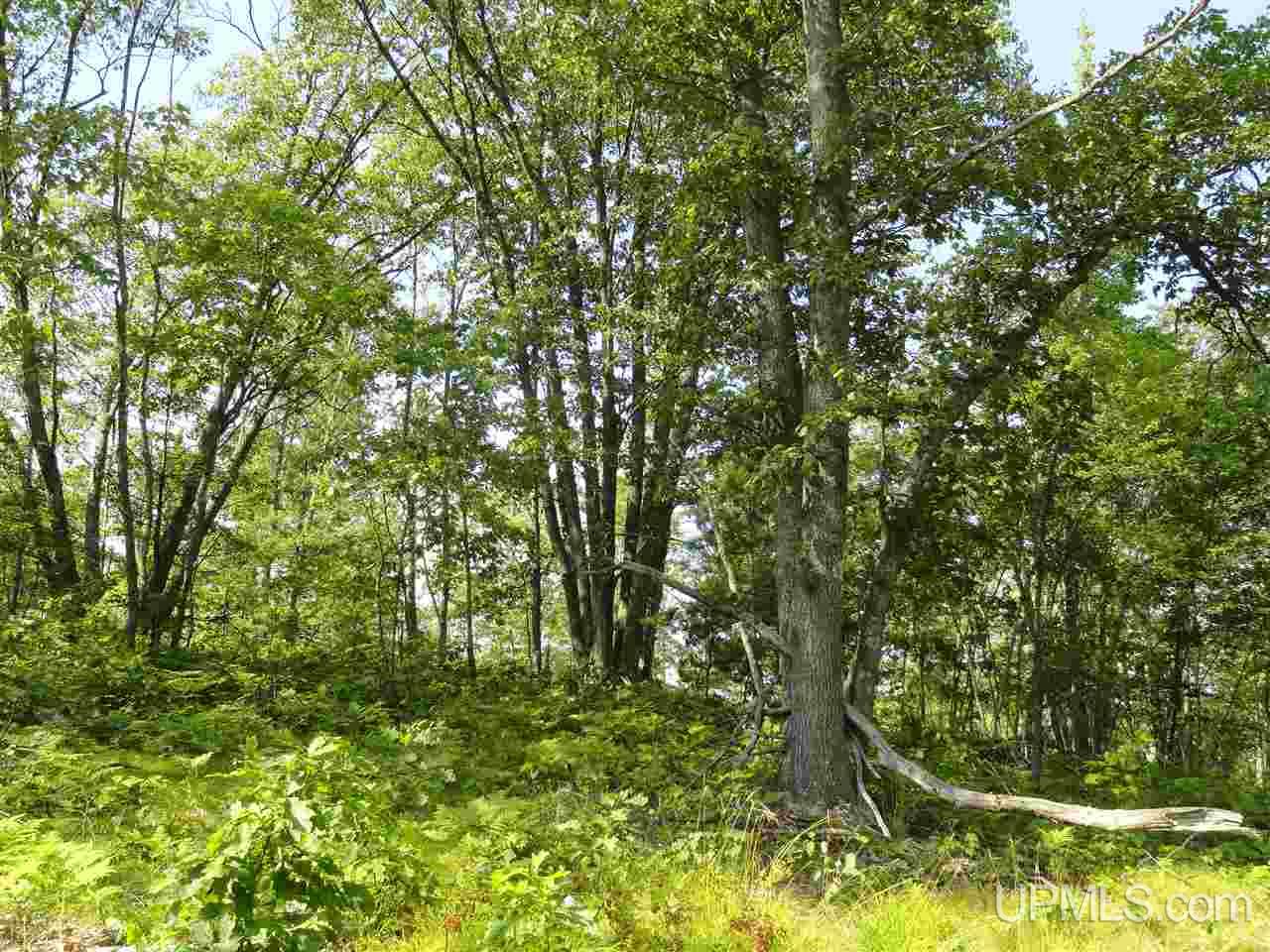 143-acres County Rd FF Republic, MI 49879 - Photo 10 of 18