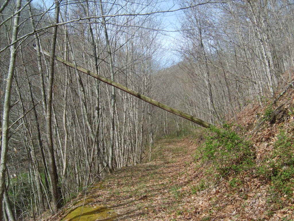 Buckeye Road Renick, WV 24966 - Photo 5 of 16 Gallery Image 5