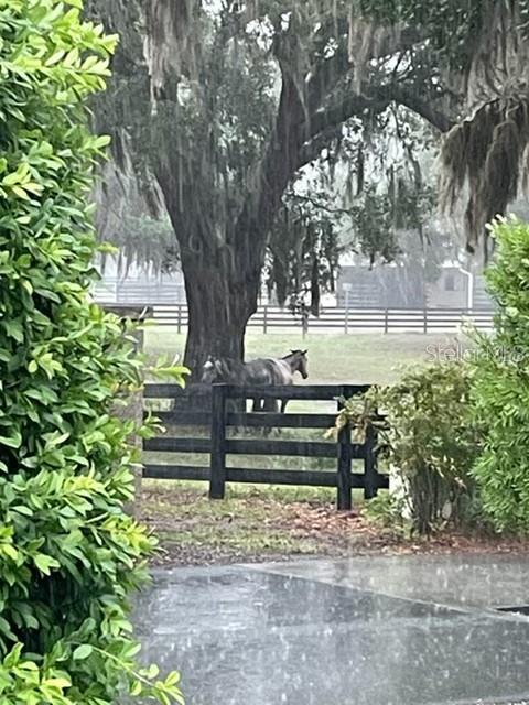 7351 Southeast 169th Cote Loop The Villages, FL 32162 - Photo 5 of 32 a view of a bench in a yard