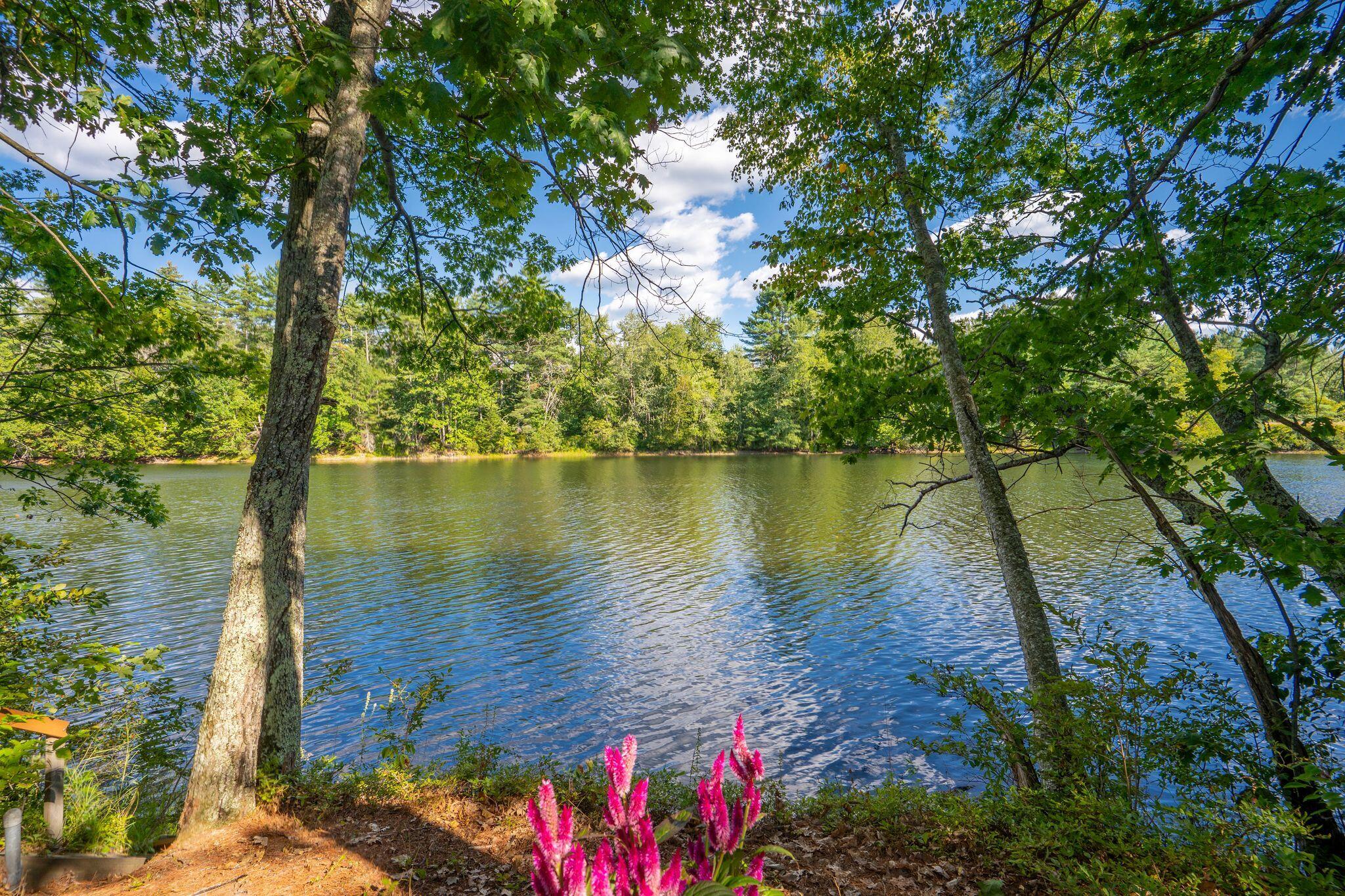 64 River Road Limington, ME 04049 - Photo 81 of 83 82_DSC09170