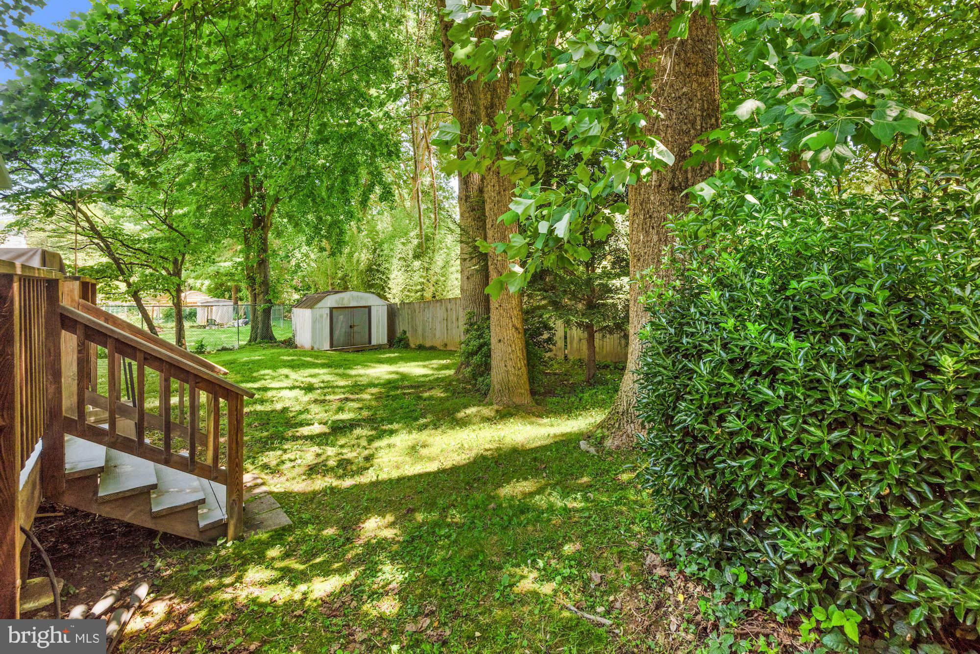5734 Heming Avenue Springfield, VA 22151 - Photo 43 of 52 Backyard