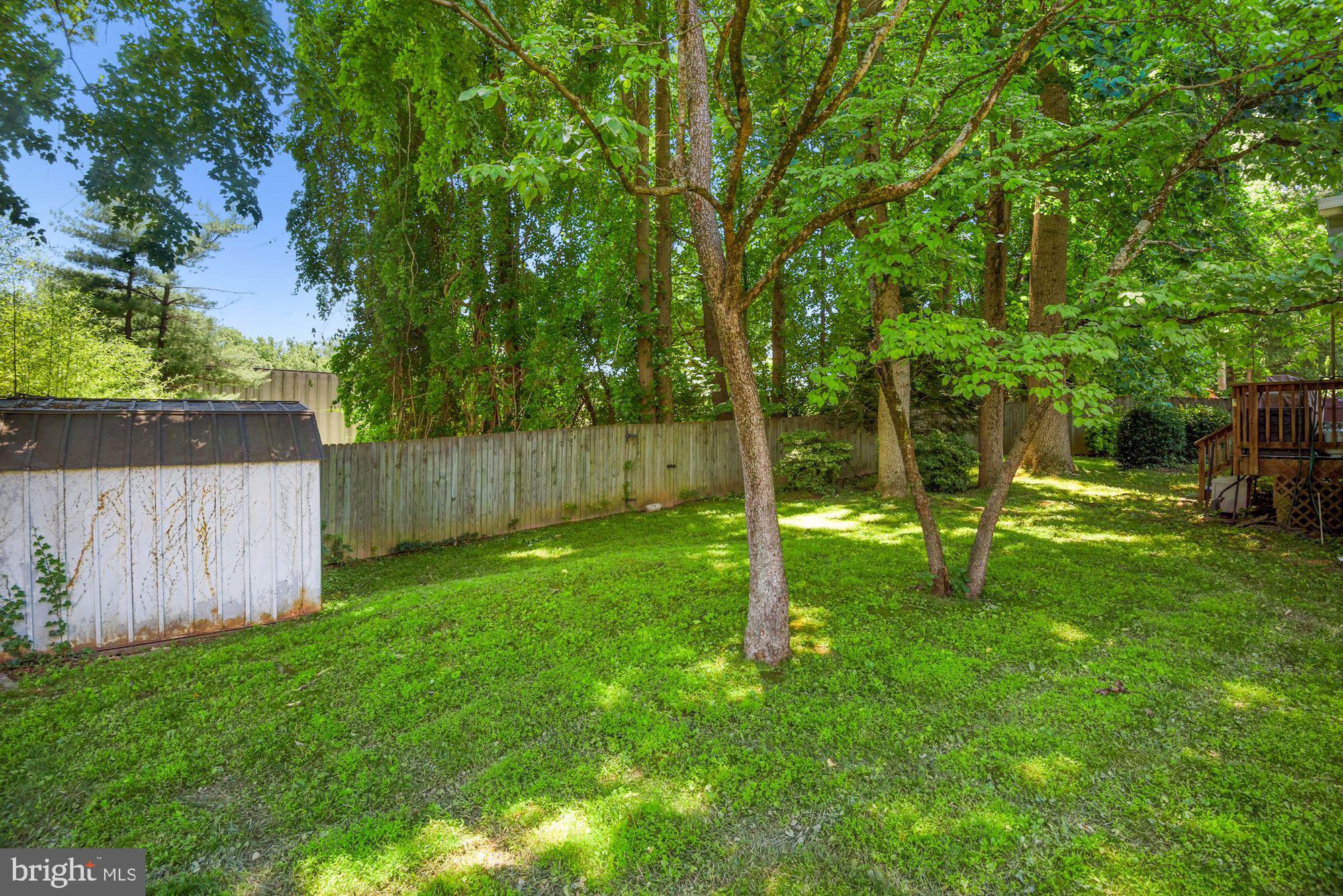 5734 Heming Avenue Springfield, VA 22151 - Photo 45 of 52 Backyard