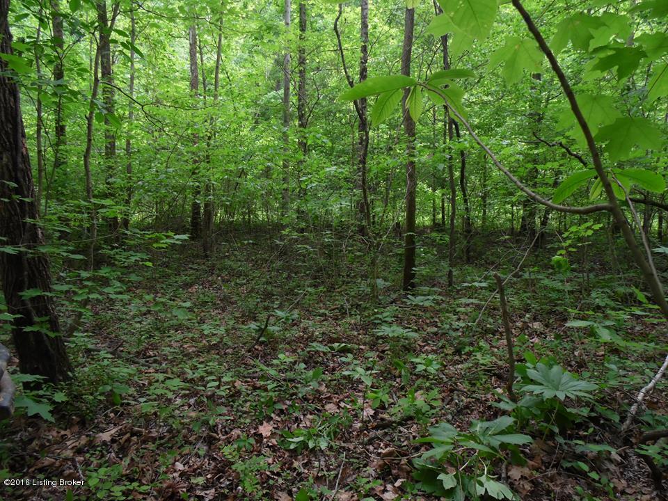4981 Knob Creek Road Brooks, KY 40109 - Photo 21 of 25 13235828_10209724632496450_796406114_n