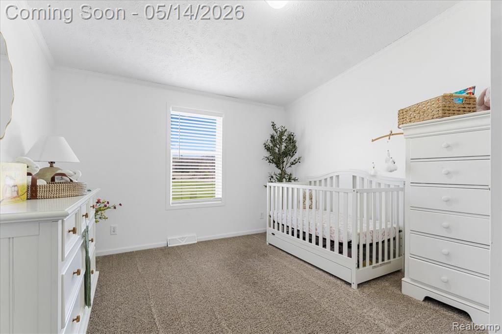 7935 Ravenswood Road Goodells, MI 48027 - Photo 22 of 29