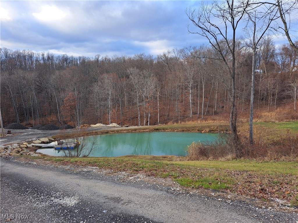 63877 Larrick Ridge Road Cambridge, OH 43725 - Photo 41 of 43 Pond with dock