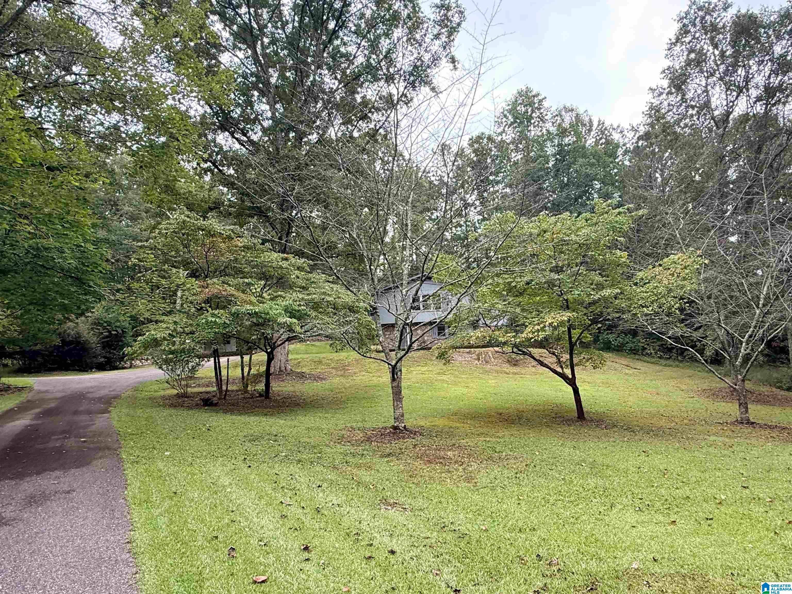208 Earl Roberts Road Anniston, AL 36207 - Photo 3 of 34 Gallery Image 3
