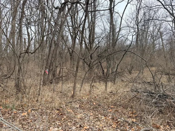 $12,000 | 0 West Ottawa Street, Crawfordsville, IN 47933