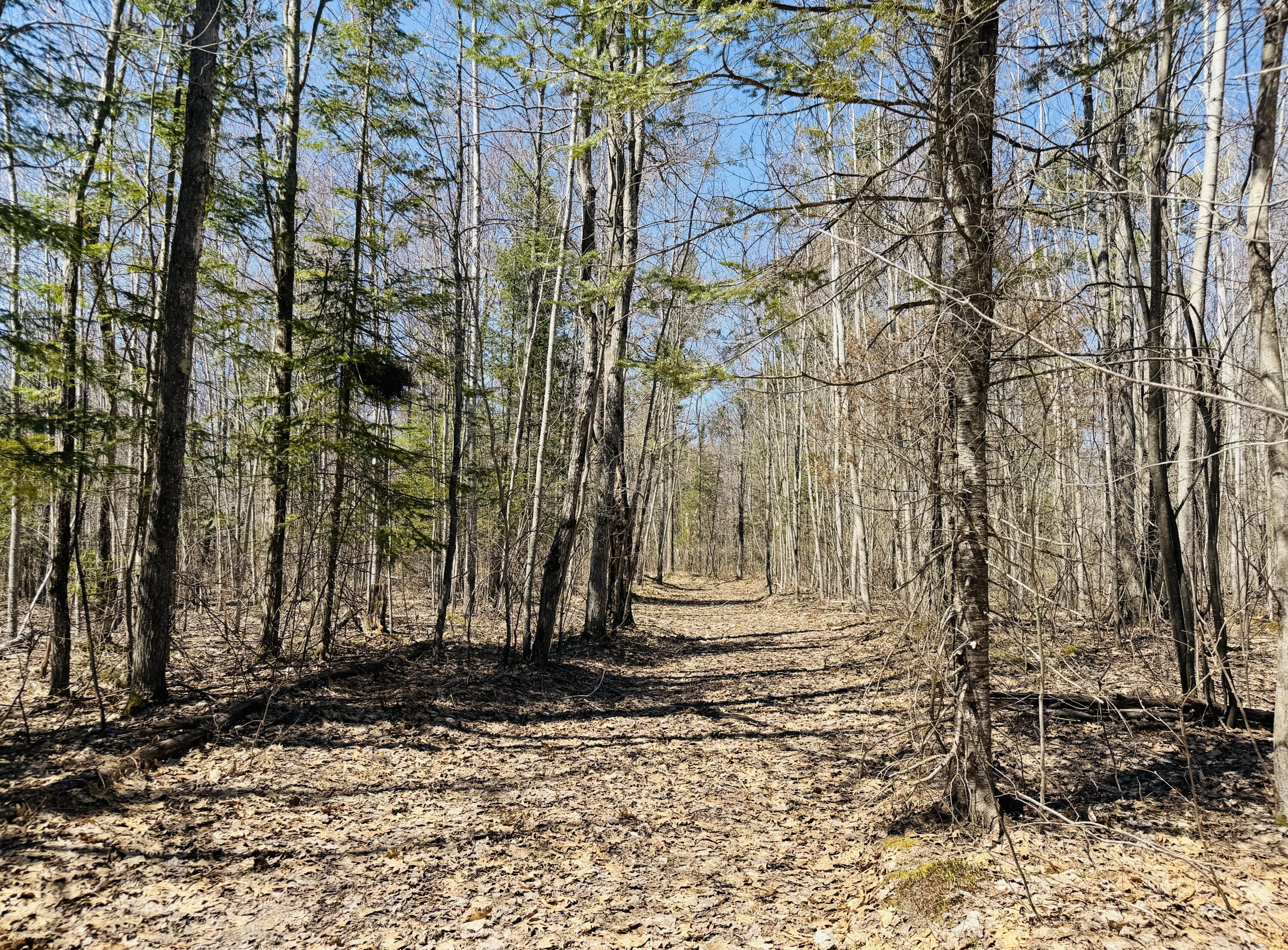 4475 East 25 Mile Road Pickford, MI 49774 - Photo 12 of 57 Gallery Image 12