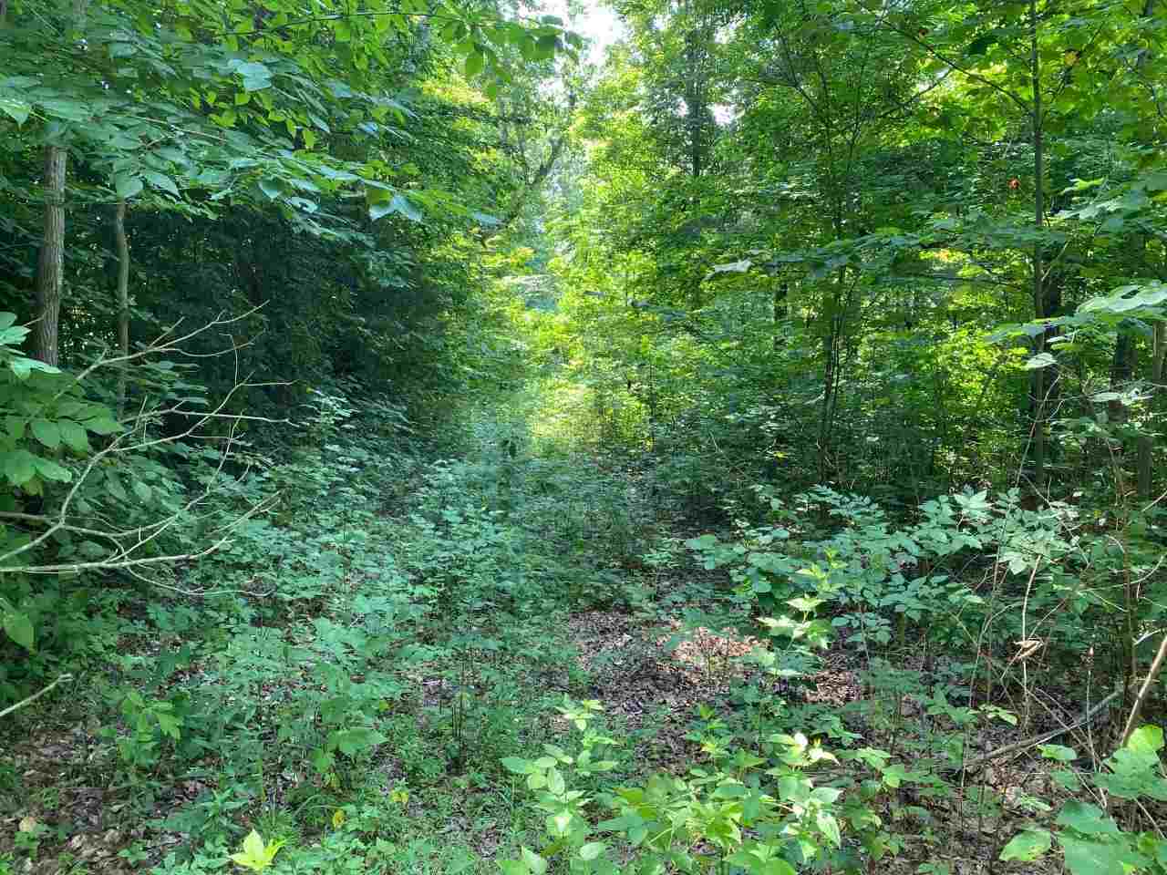0 Austin Tracy Road Lucas, KY 42156 - Photo 5 of 11 Gallery Image 5