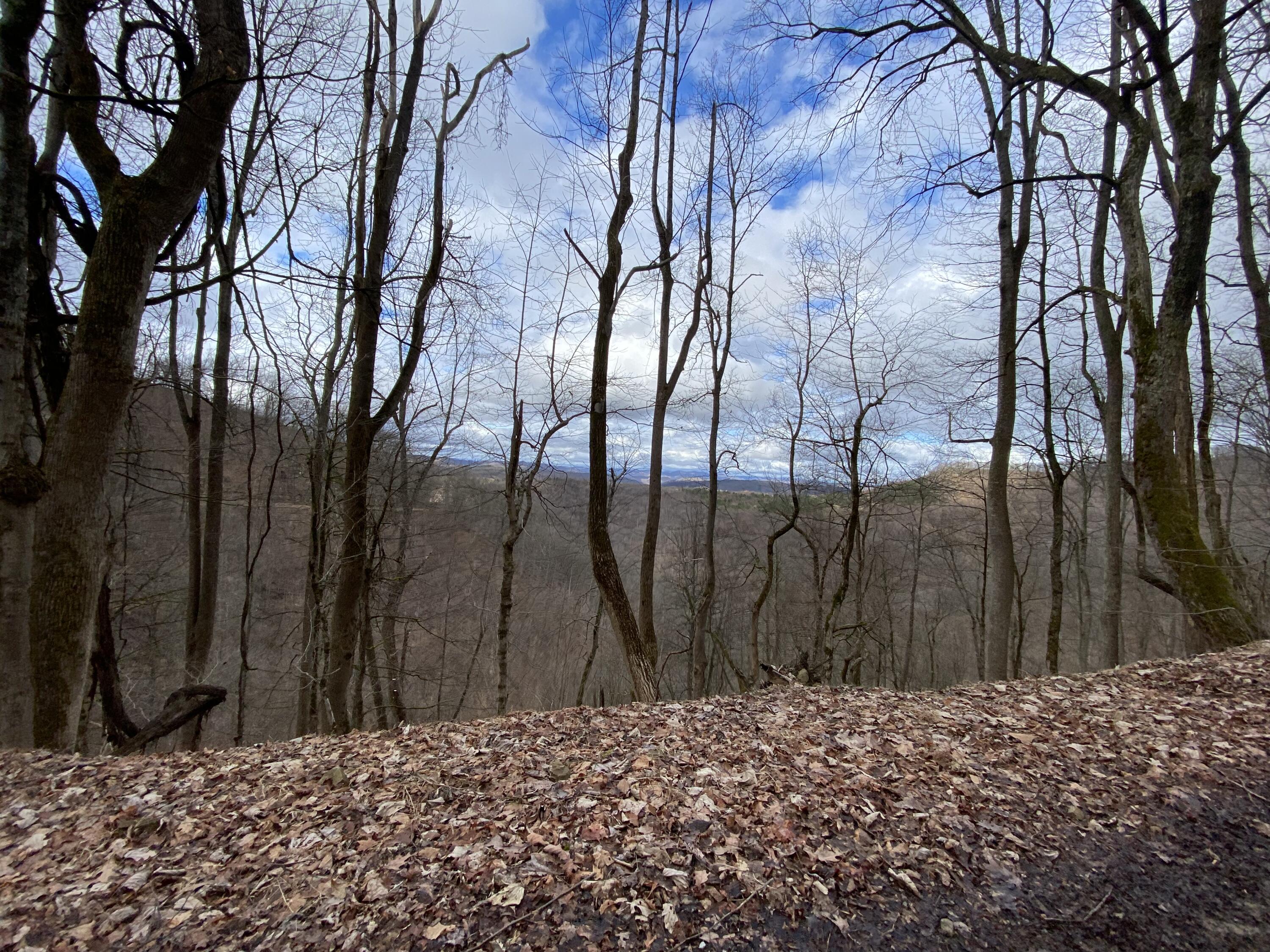 9999 Pinsonfork Road McAndrews, KY 41543 - Photo 2 of 19 IMG_3303