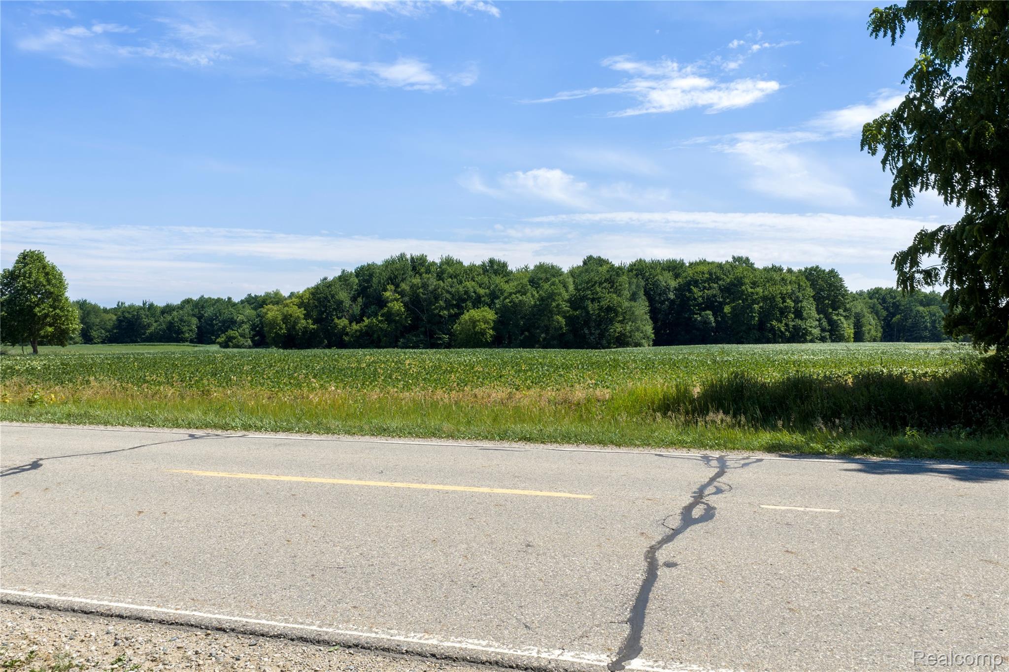 0 Applegate Road Applegate, MI 48401 - Photo 4 of 15 04.jpg
