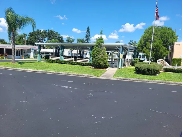 a view of a park with large trees