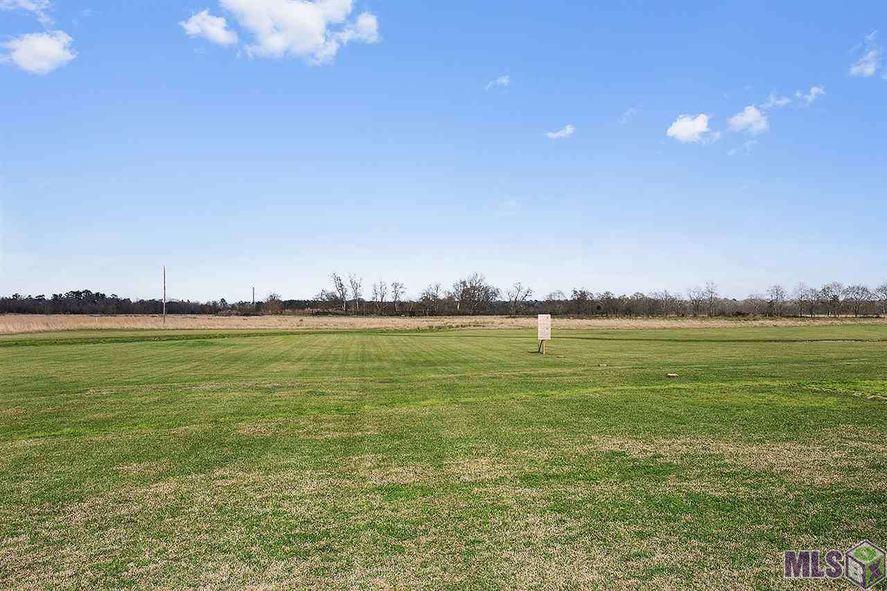 16323 Alphonse Forbes Road Greenwell Springs, LA 70739 - Photo 10 of 12 Gallery Image 10
