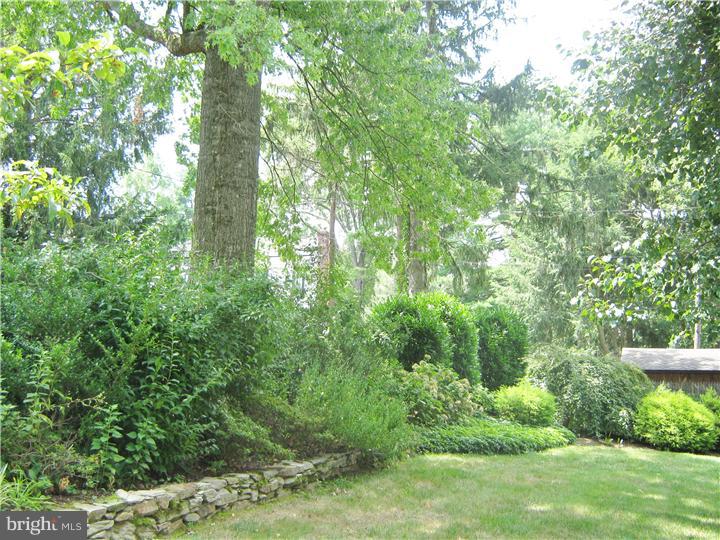 6154 Parkside Road Flourtown, PA 19031 - Photo 17 of 20 Back Yard