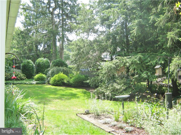 6154 Parkside Road Flourtown, PA 19031 - Photo 18 of 20 Back Yard