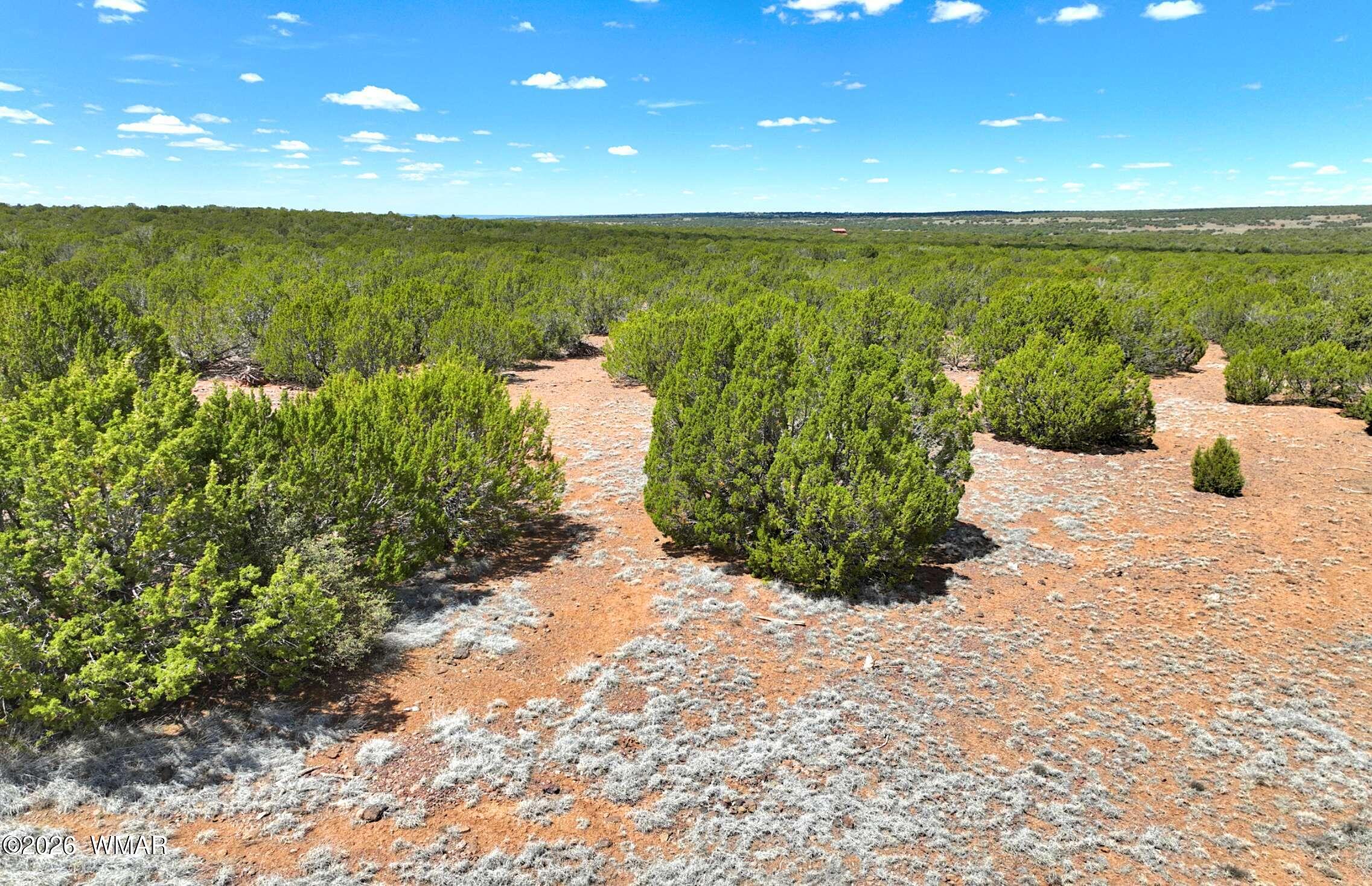9184 C Chimisa Ranch Road Show Low, AZ 85901 - Photo 10 of 15 Gallery Image 10