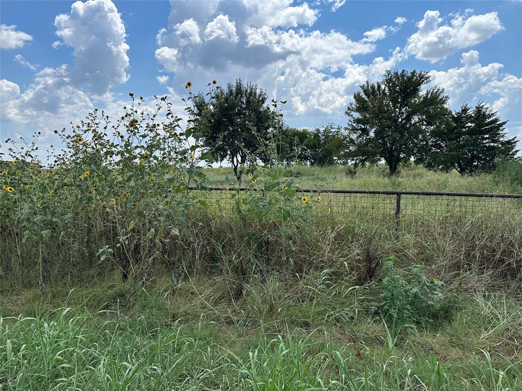 Lot 8 Eastline Road Whitewright, TX 75491 - Photo 19 of 19 View of nature