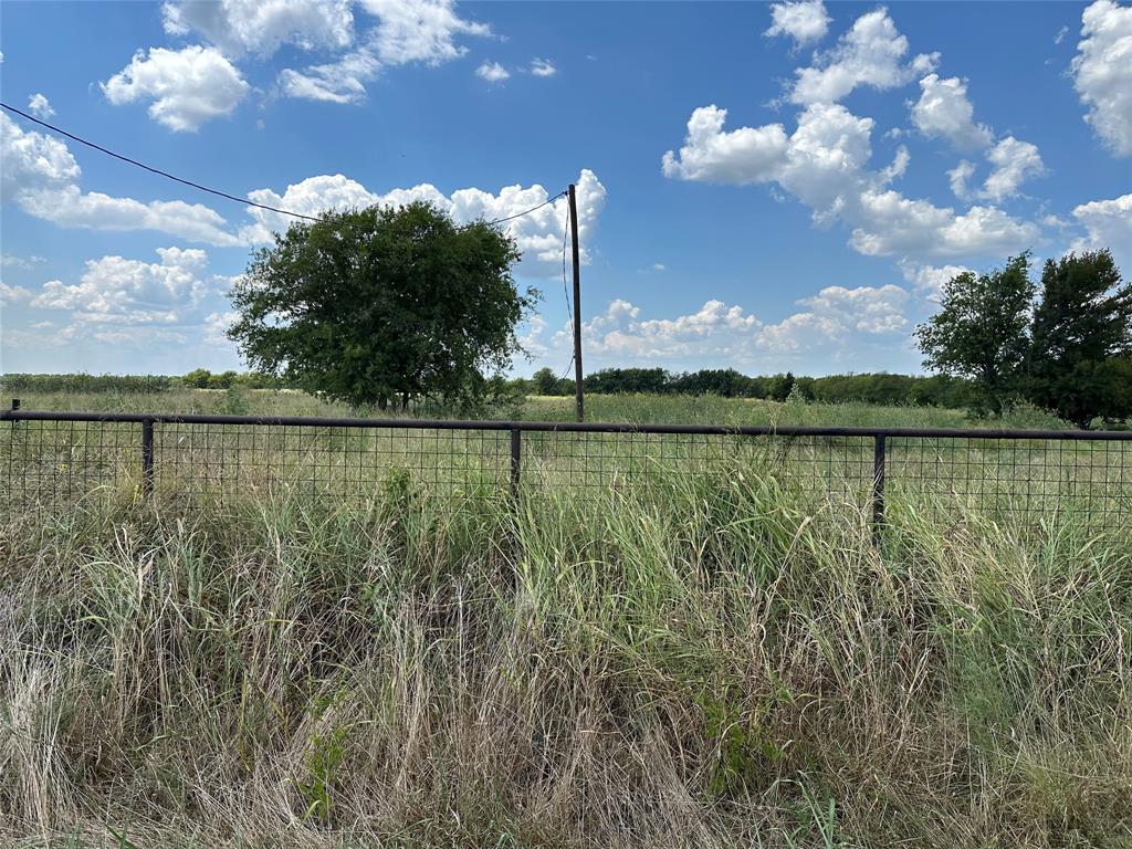 Lot 8 Eastline Road Whitewright, TX 75491 - Photo 2 of 19 View of yard with a view of rural / pastoral area