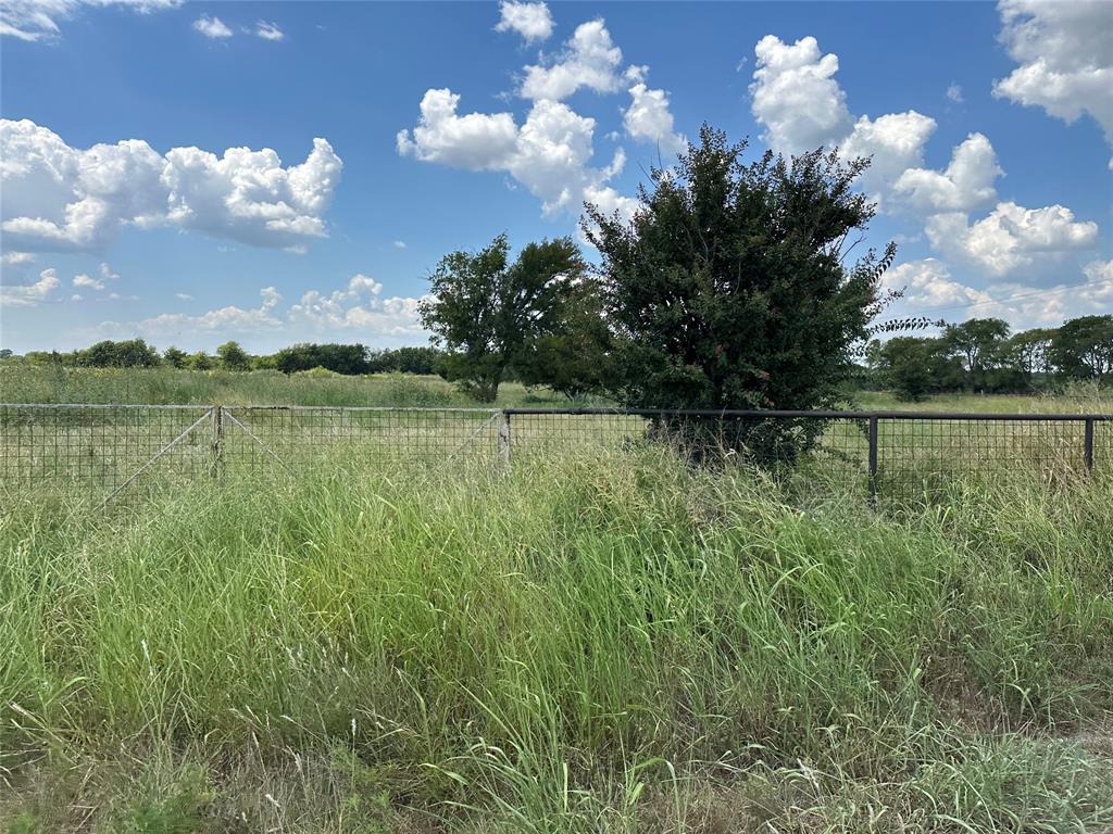 Lot 8 Eastline Road Whitewright, TX 75491 - Photo 5 of 19 View of yard with a rural view