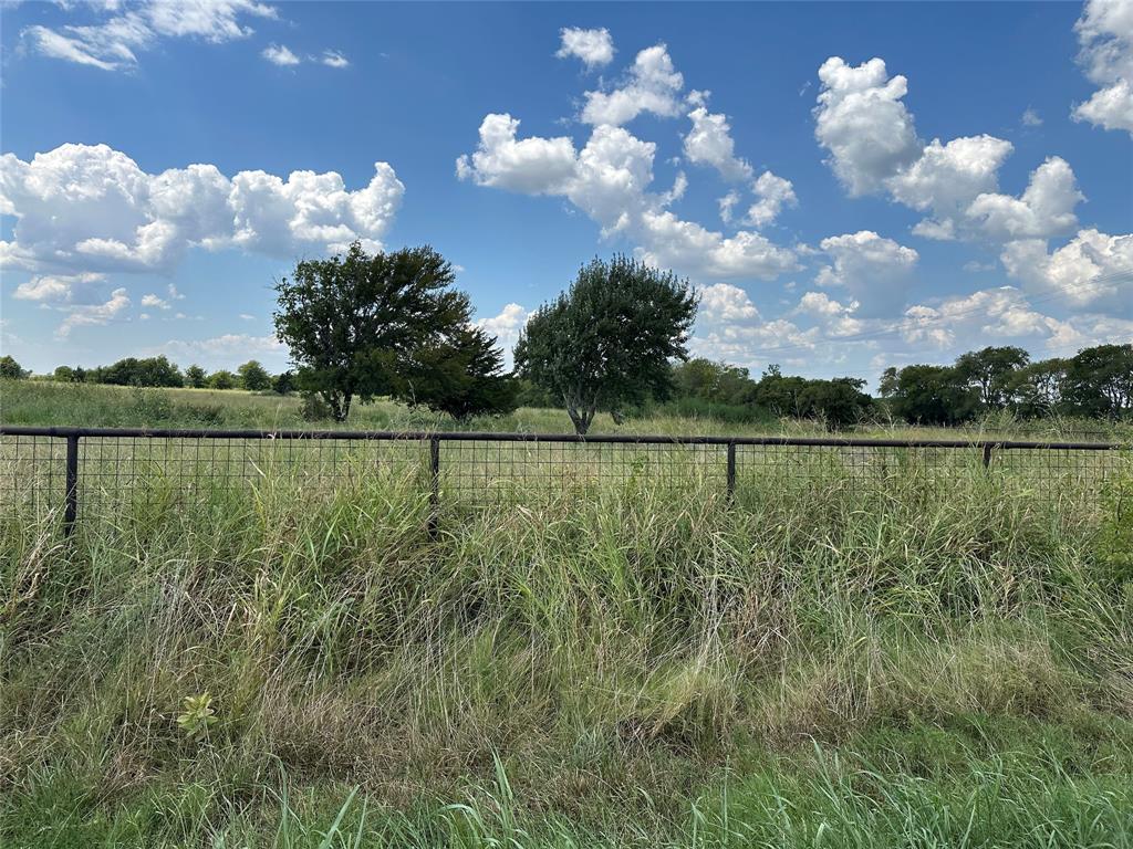 Lot 8 Eastline Road Whitewright, TX 75491 - Photo 6 of 19 View of yard with a view of rural / pastoral area