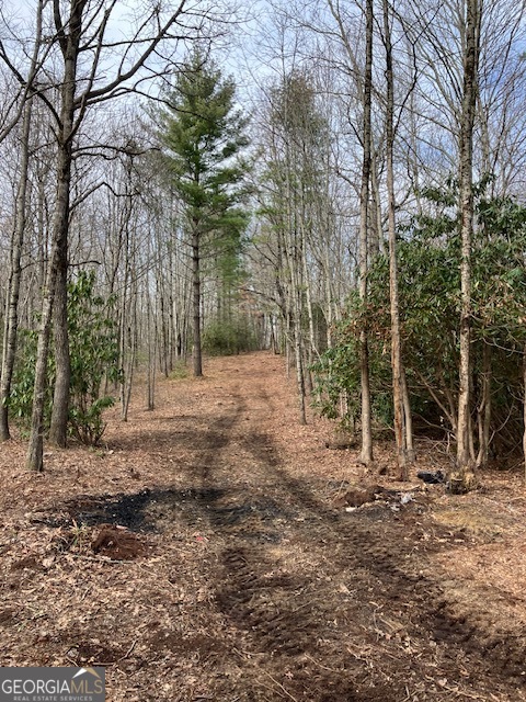 0 Dillard Road Highlands, NC 28741 - Photo 3 of 5 a backyard of a house with lots of green space