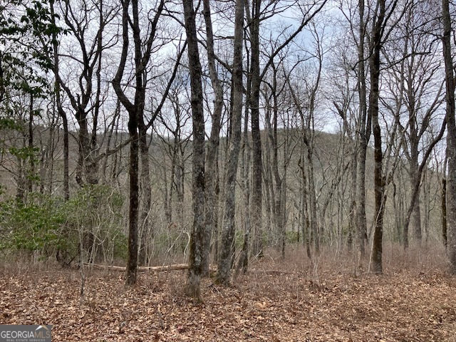 0 Dillard Road Highlands, NC 28741 - Photo 4 of 5 a backyard of a house with lots of green space