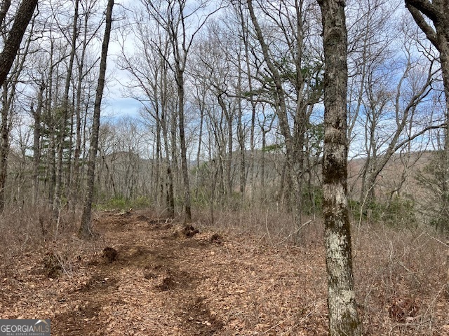 0 Dillard Road Highlands, NC 28741 - Photo 5 of 5 a view of a yard with trees
