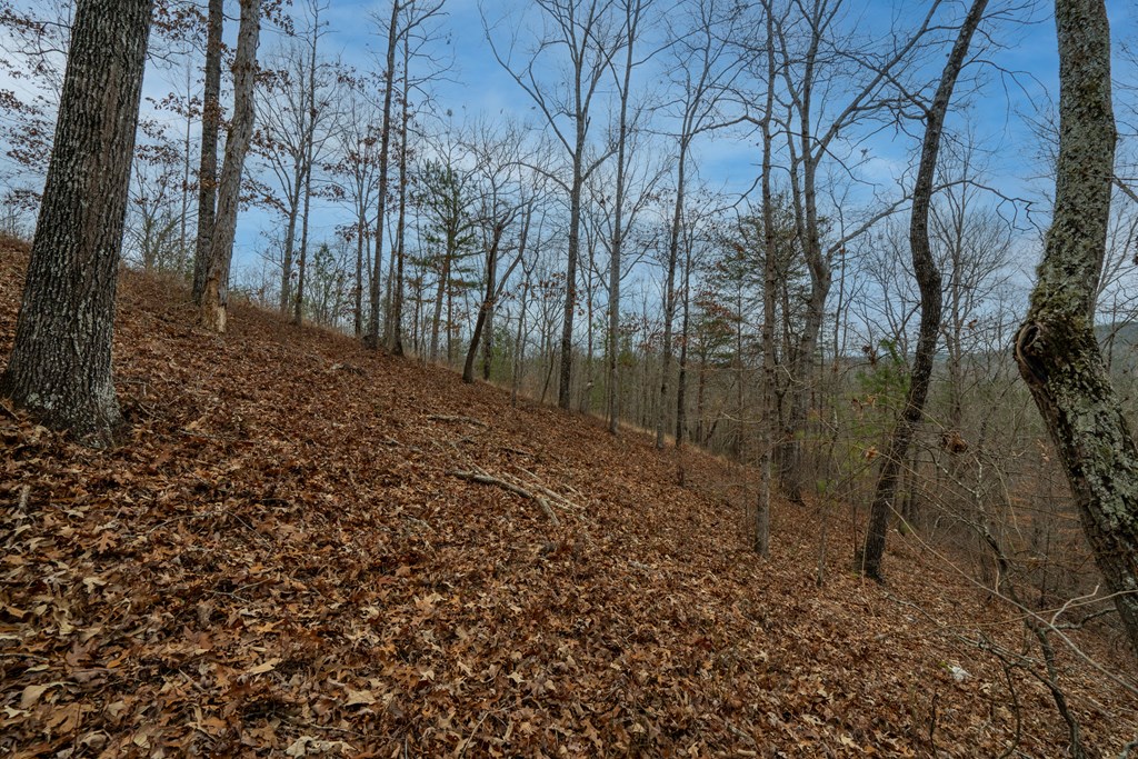 Lot 5 Blalock Mountain Road Talking Rock, GA 30175 - Photo 8 of 22