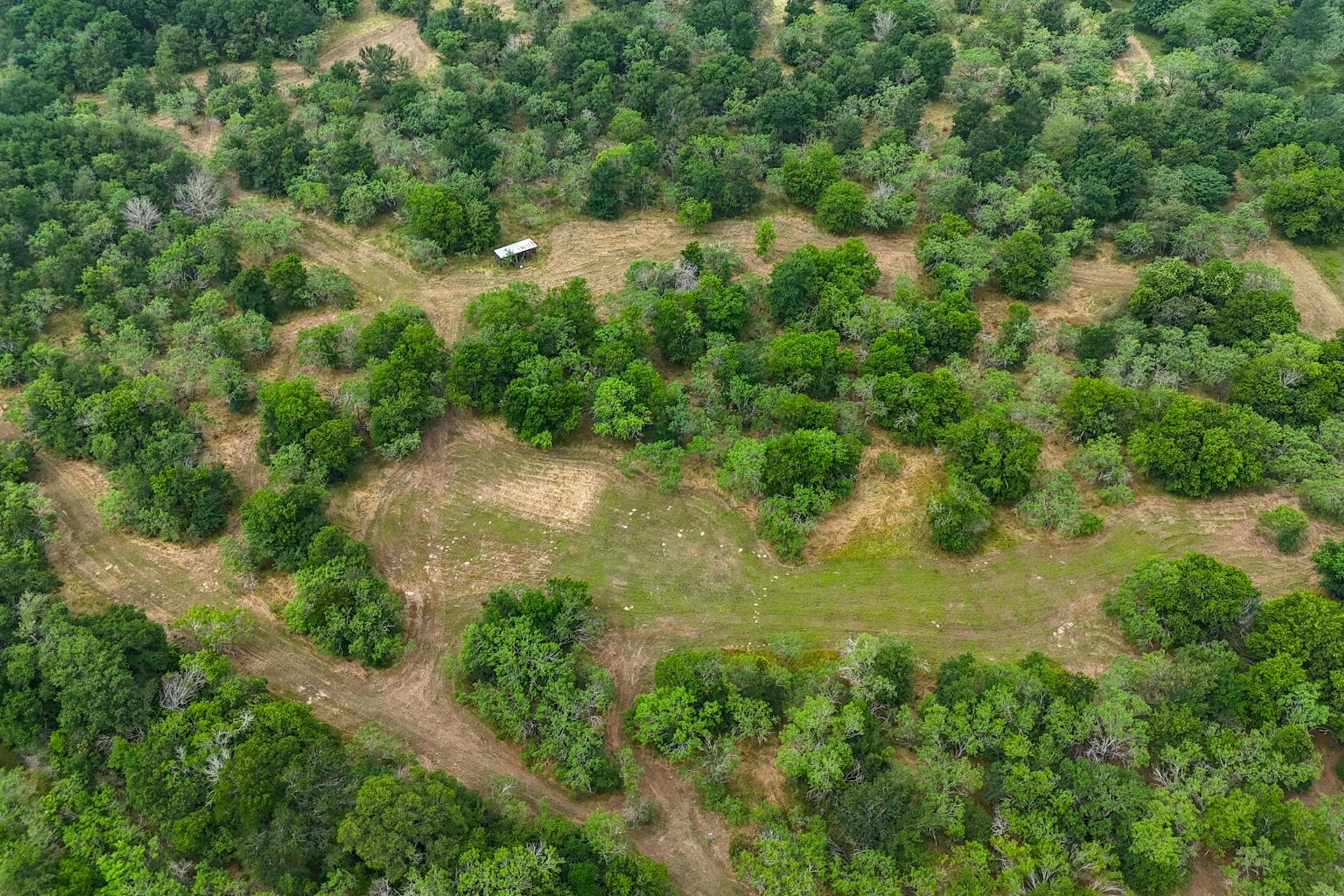 645 Jerrys Creek Road Lockhart, TX 78644 - Photo 14 of 16