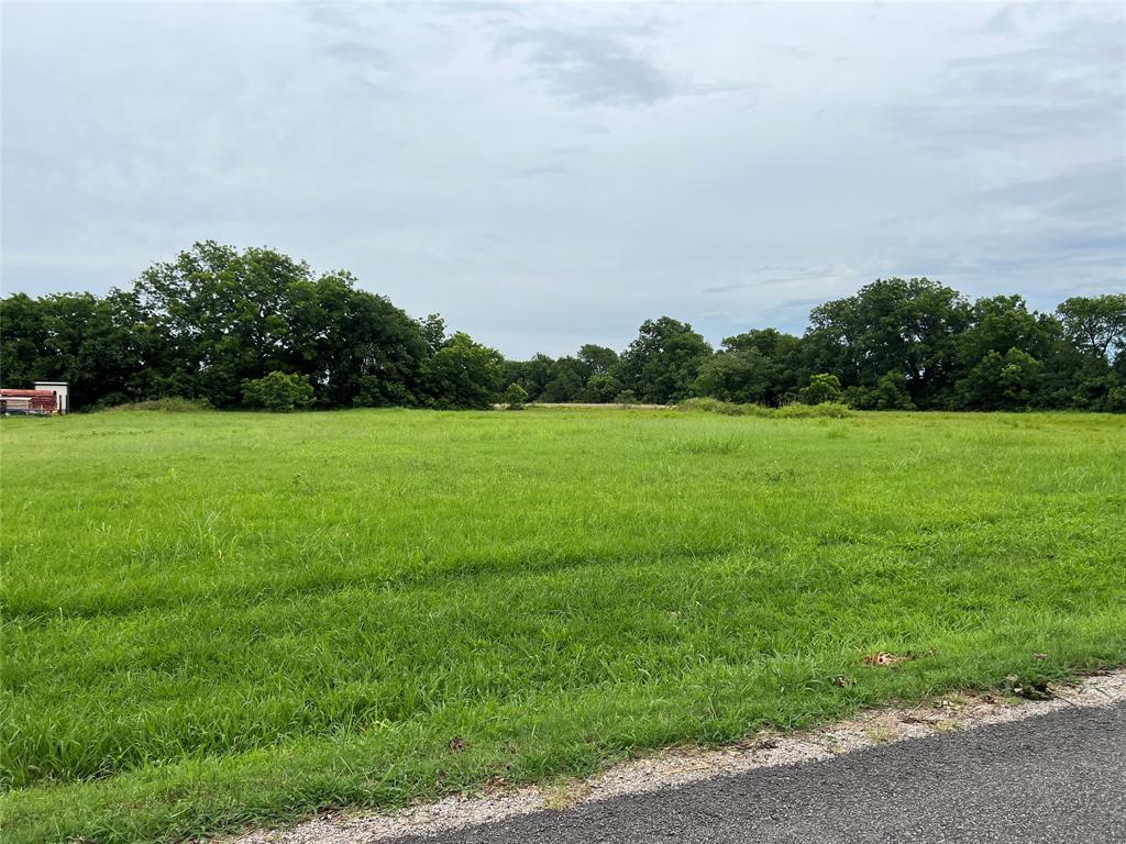 a view of a grassy field with trees