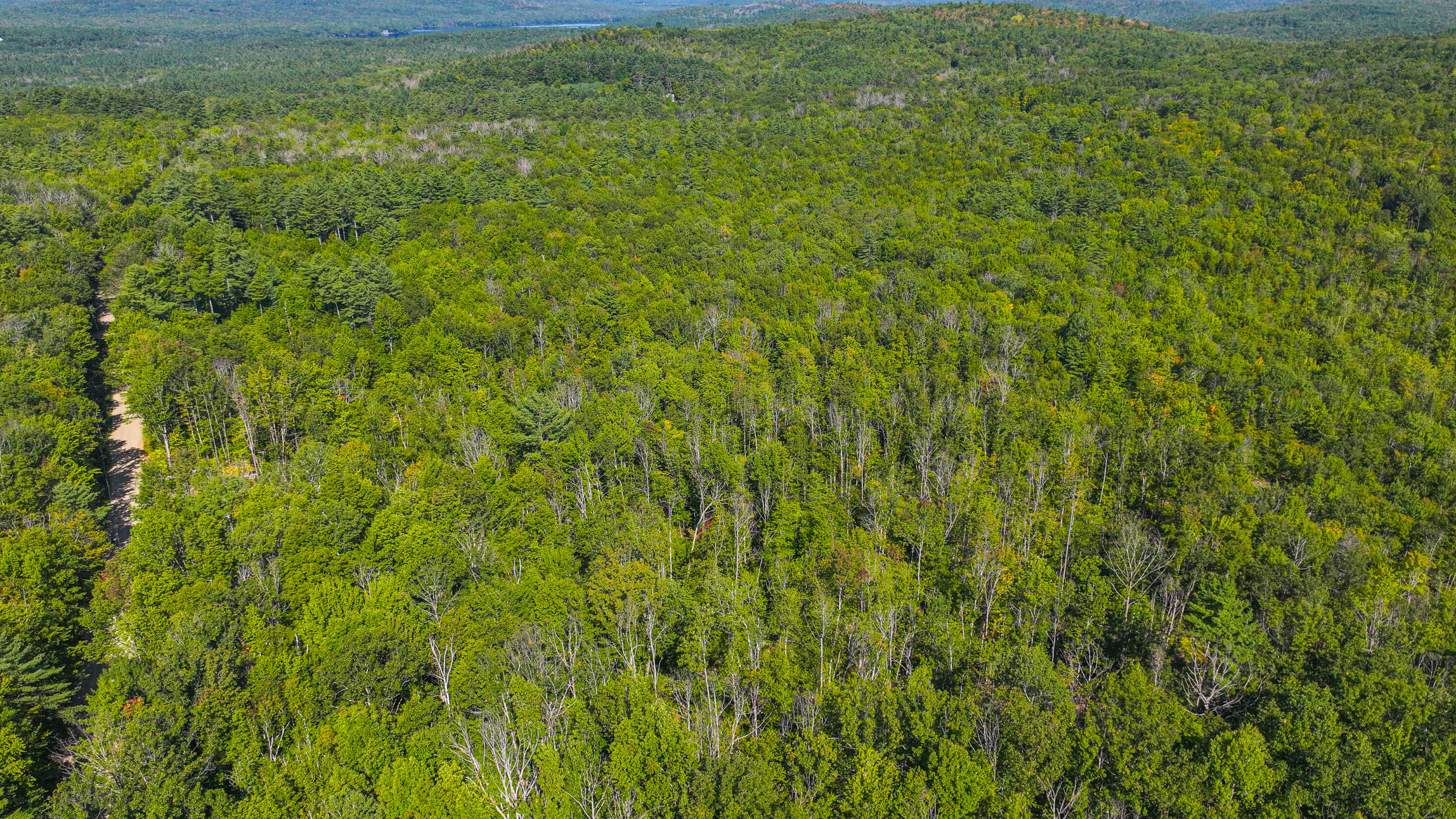 7 Sabattus Road Lovell, ME 04051 - Photo 7 of 19 sabattus road land-25