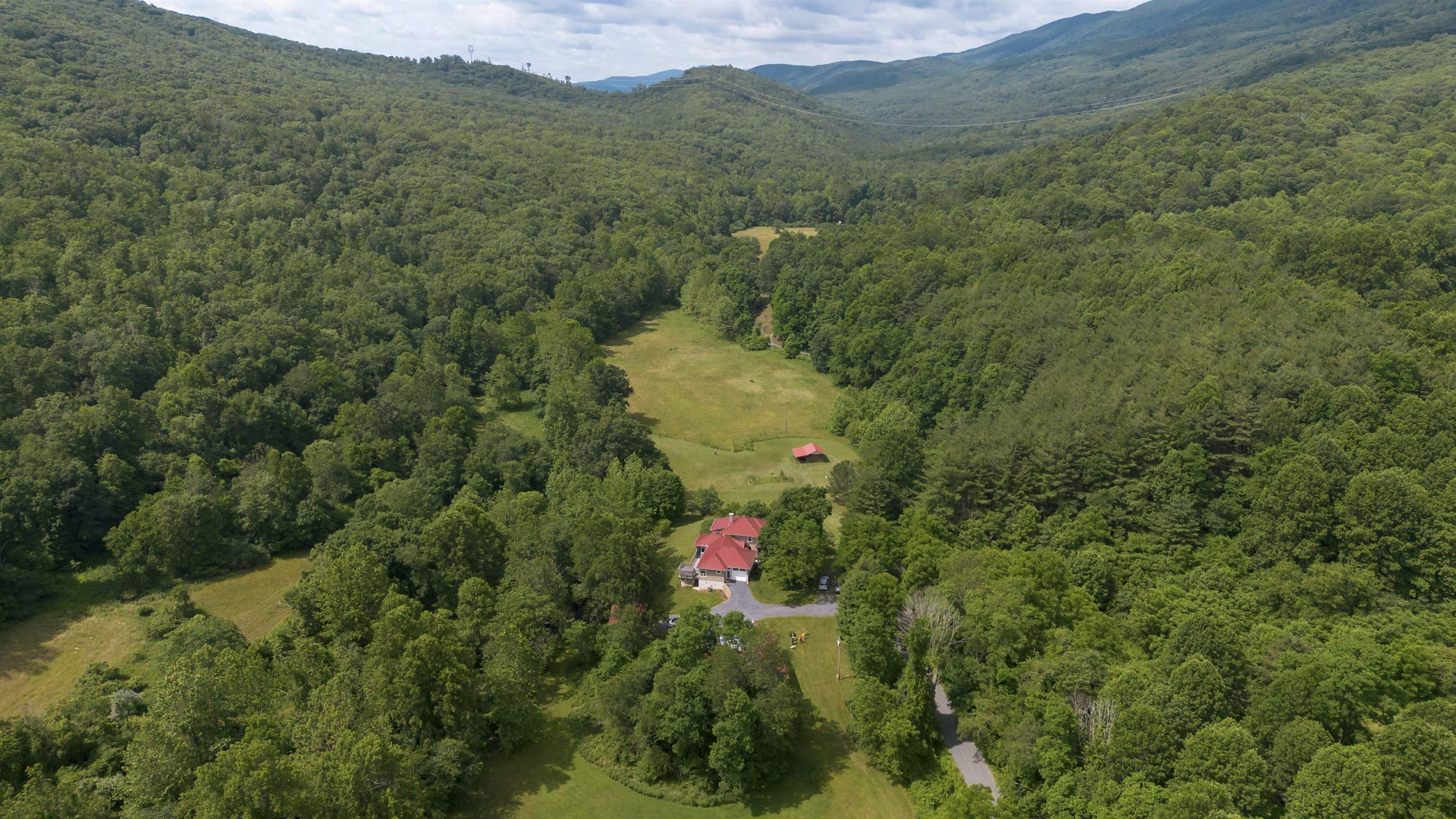 7304 Dry Run Road Williamsville, VA 24487 - Photo 52 of 57 a view of a forest with a mountain