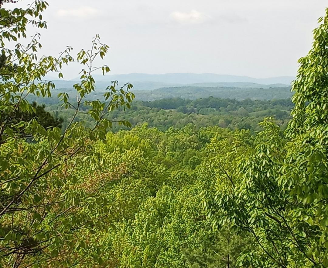 389 Shug Mtn Road Oneida, TN 37841 - Photo 2 of 30 thumbnail (2)