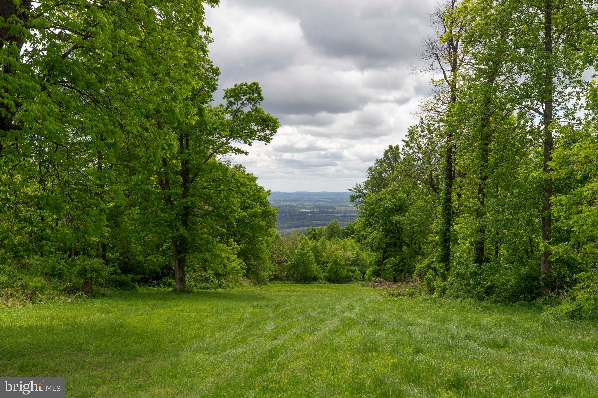 20711 Blue Ridge Mountain Road Paris, VA 20130 - Photo 81 of 82