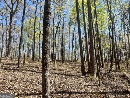 $45,000 | Lot 92 Doll Mountain Road, Ellijay, GA 30540
