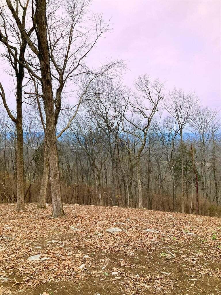 0 Gann Store Road, Unit 7 Hixson, TN 37343 - Photo 1 of 5 1