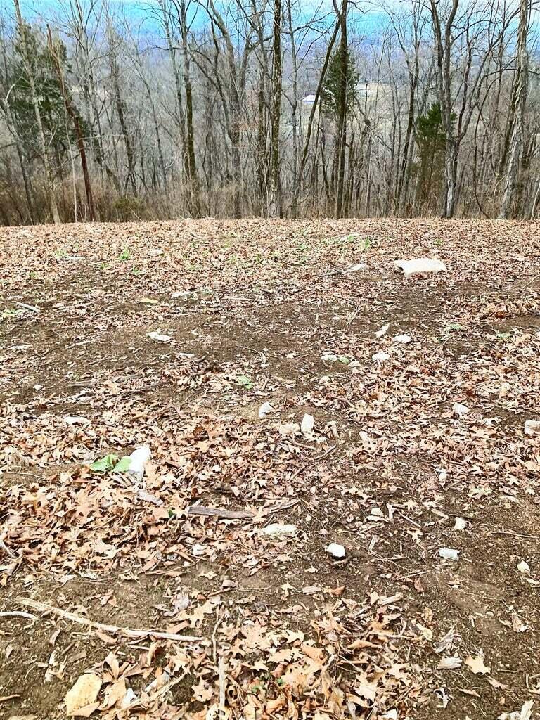 0 Gann Store Road, Unit 7 Hixson, TN 37343 - Photo 2 of 5 2
