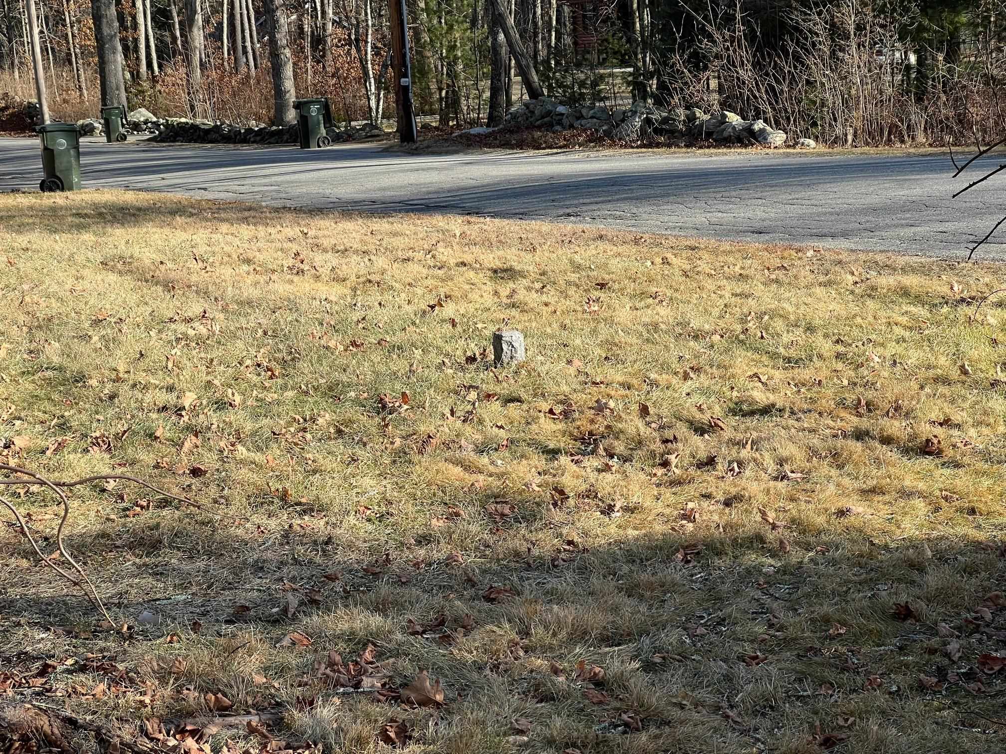 3 Bancroft Road Londonderry, NH 03053 - Photo 15 of 15 Gallery Image 15
