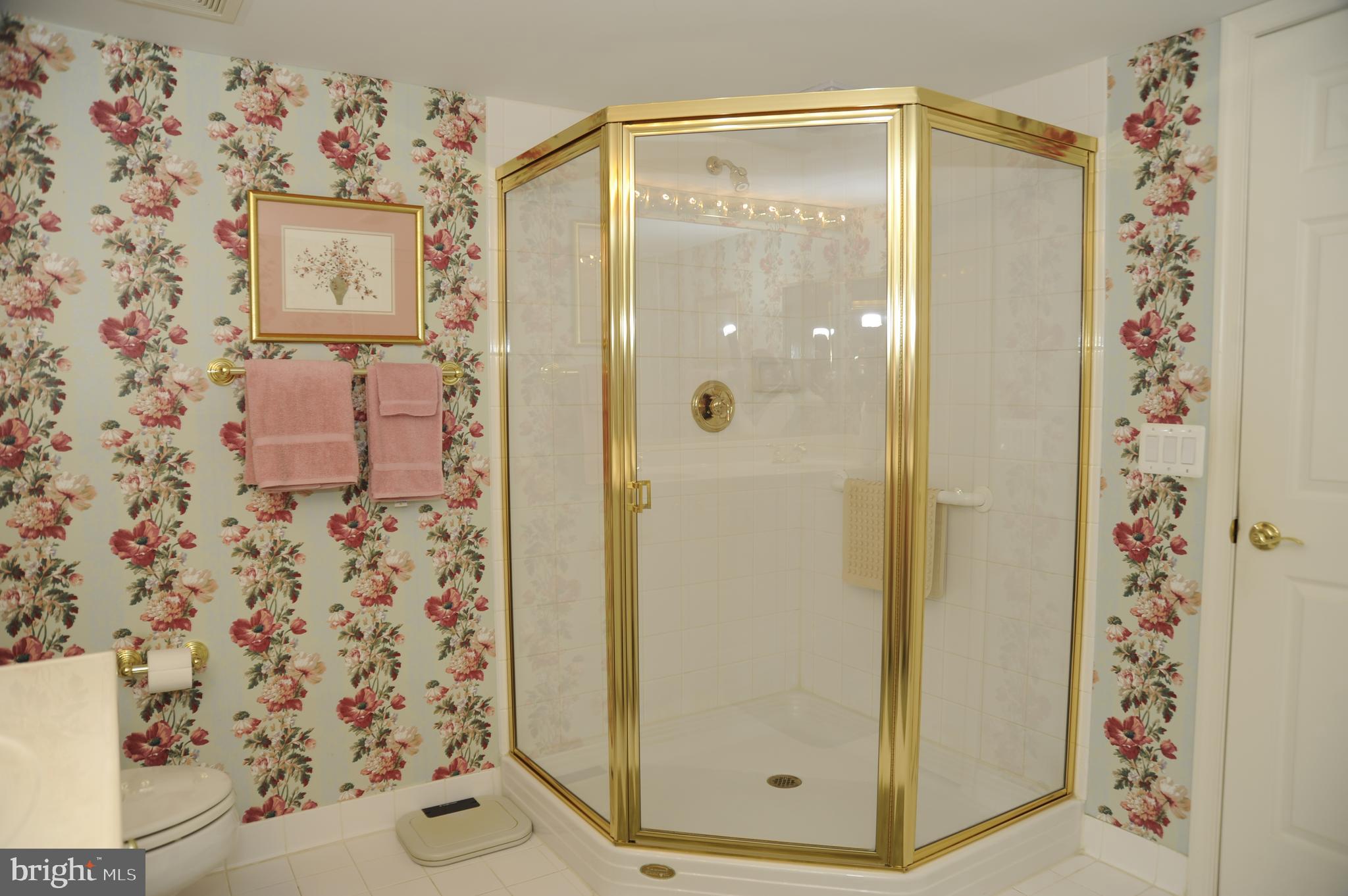 12330 Rosslare Ridge Road, Unit 408 Lutherville-Timonium, MD 21093 - Photo 28 of 35 Brass upgraded stand up shower