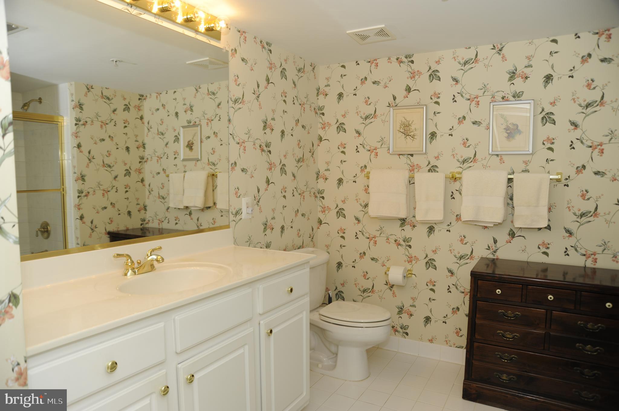 12330 Rosslare Ridge Road, Unit 408 Lutherville-Timonium, MD 21093 - Photo 30 of 35 Hall bath