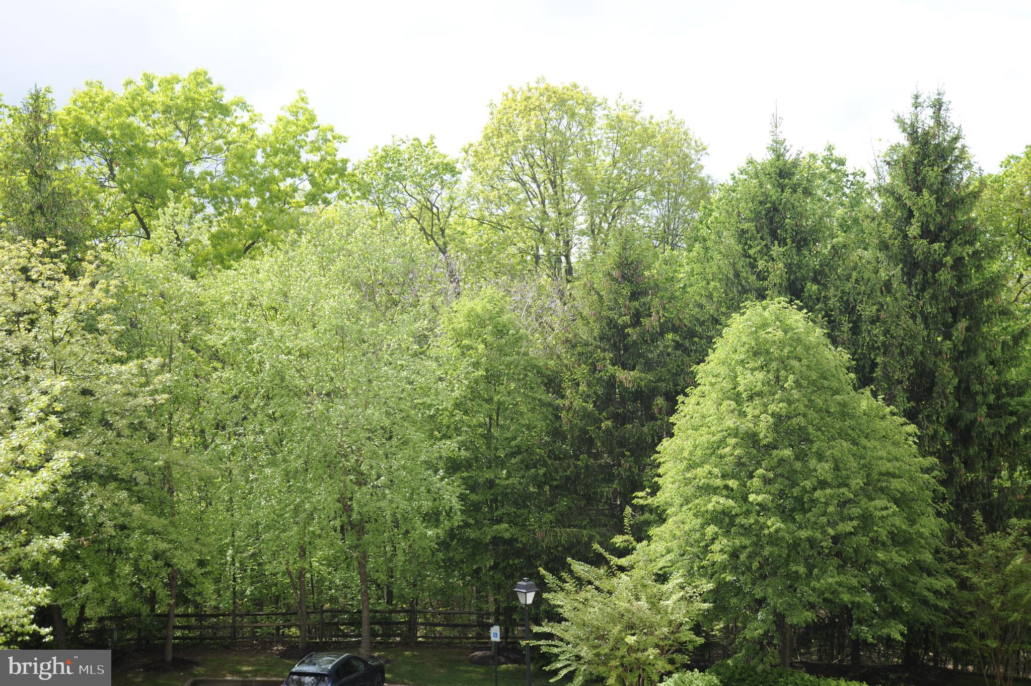 12330 Rosslare Ridge Road, Unit 408 Lutherville-Timonium, MD 21093 - Photo 35 of 35 Beautiful balcony view!