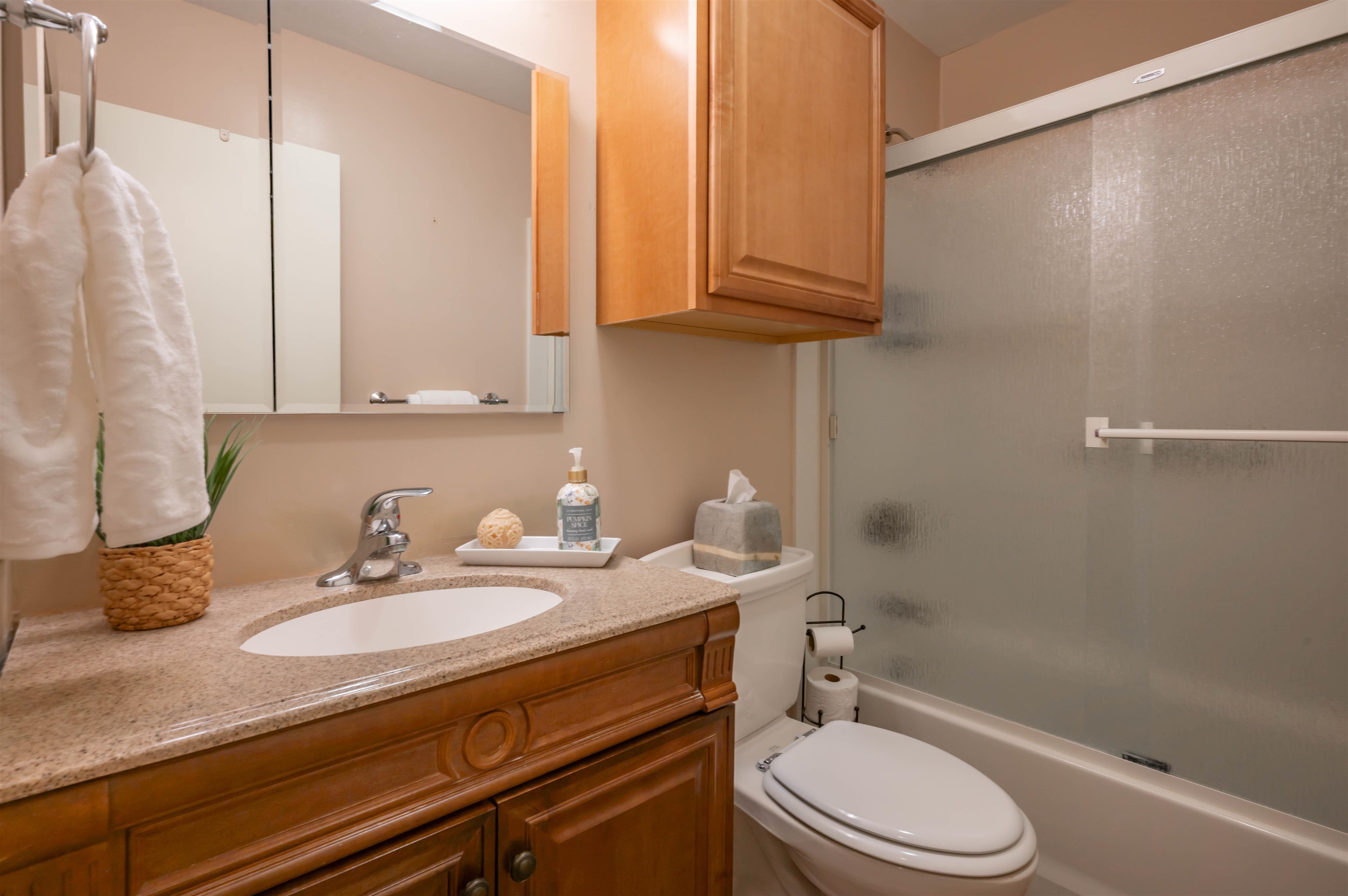 65 Bloody Brook Road Hampstead, NH 03841 - Photo 20 of 53