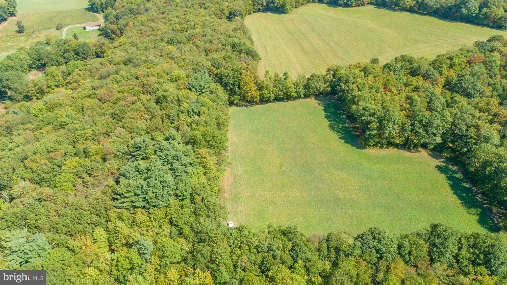 3348-3360 Cove Road Accident, MD 21520 - Photo 14 of 30