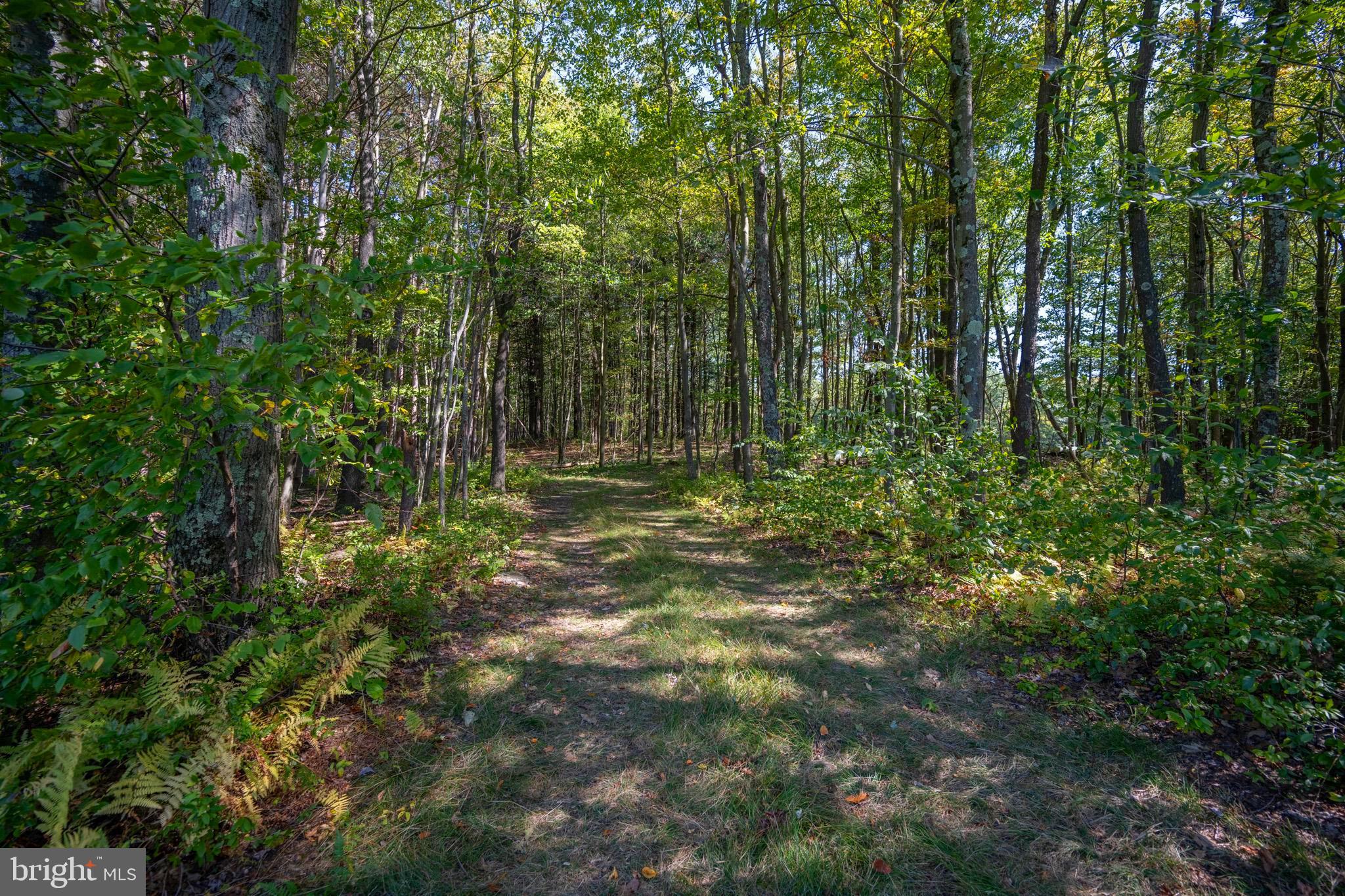 3348-3360 Cove Road Accident, MD 21520 - Photo 16 of 30