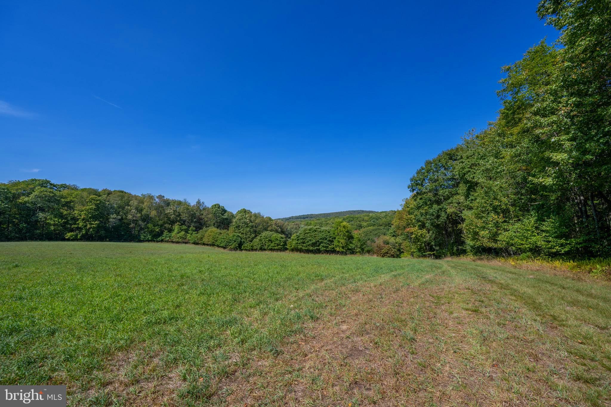 3348-3360 Cove Road Accident, MD 21520 - Photo 17 of 30